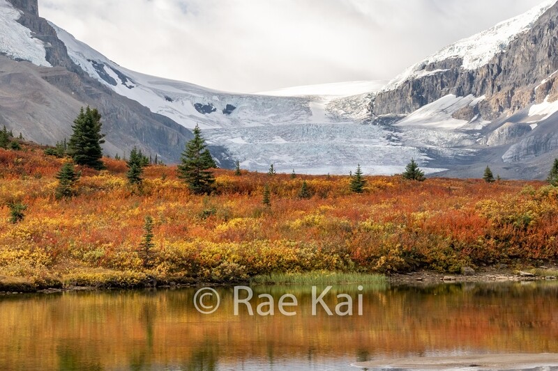 Athabascan Autumn-Traditional Photo