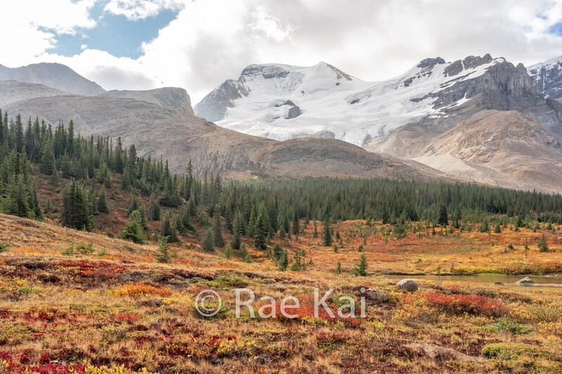 High Country Color-Traditional Photo
