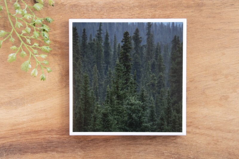 Forest Tree Tops-Nature Photo Coaster