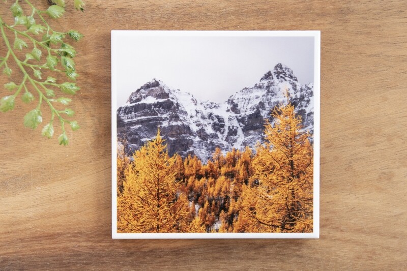 Larch Double Peak-Nature Photo Coaster