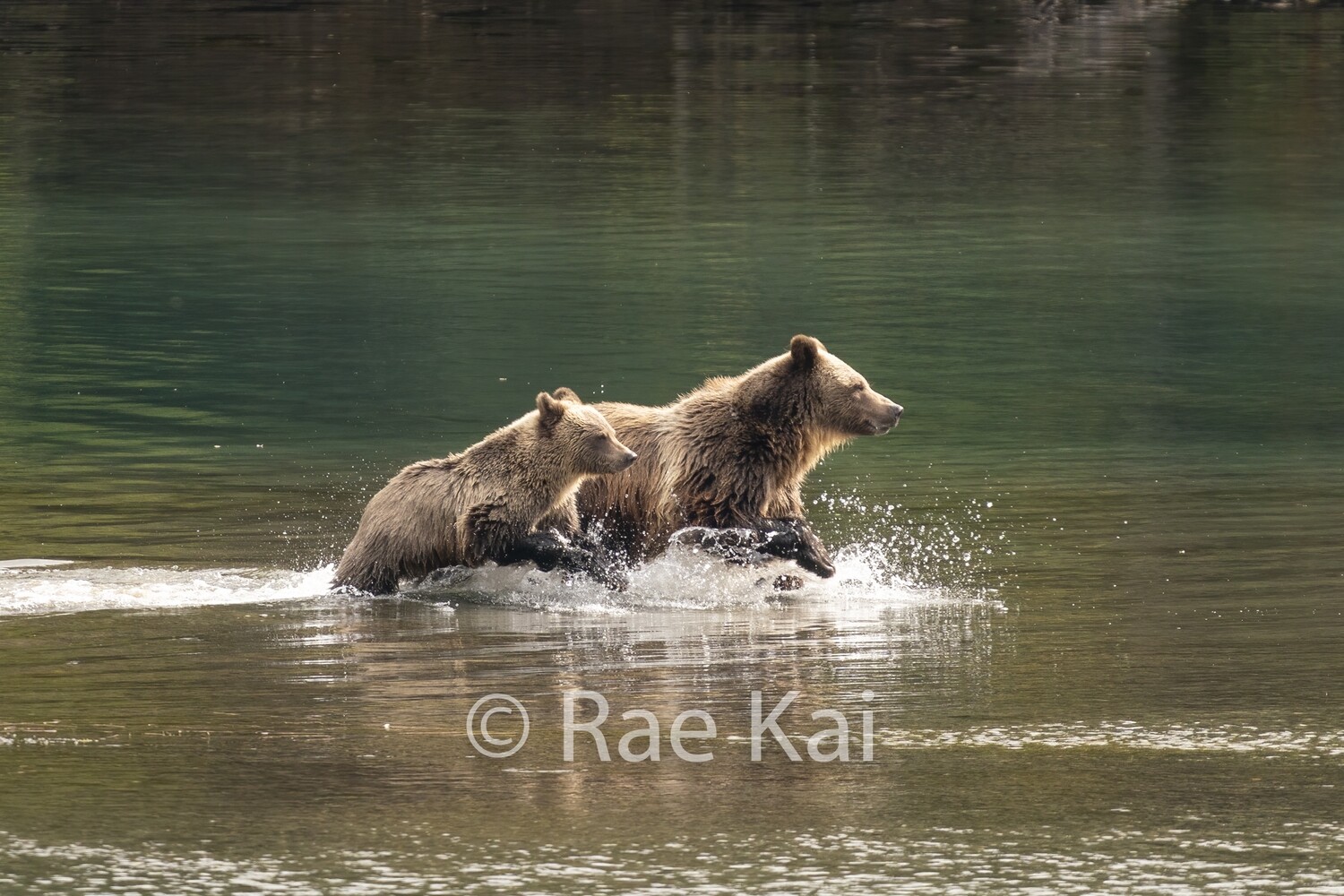 In Sync Splash-Traditional Photo