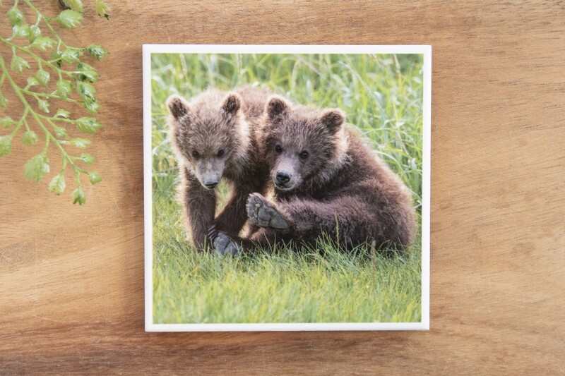 Two Cubs-Nature Photo Coaster