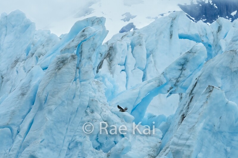 Glacier Flight-Traditional Photo