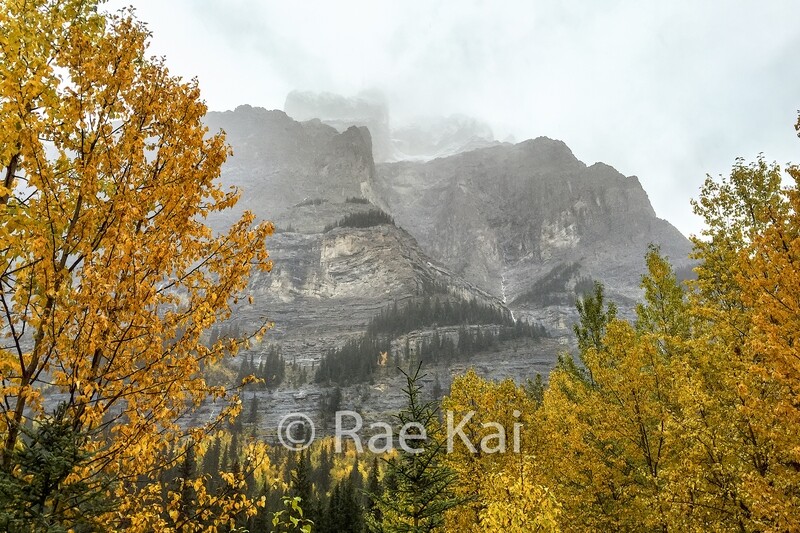Fall Mood-Traditional Photo