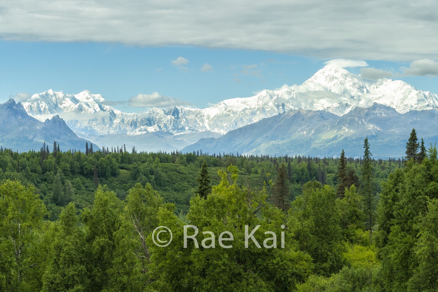 Summer Denali-Traditional Photo
