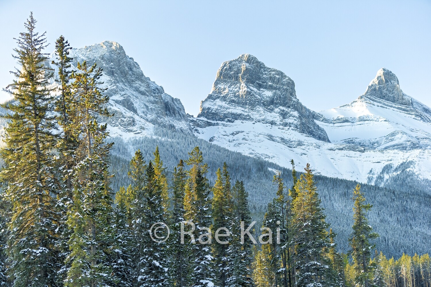 The Three Sisters-Traditional Photo