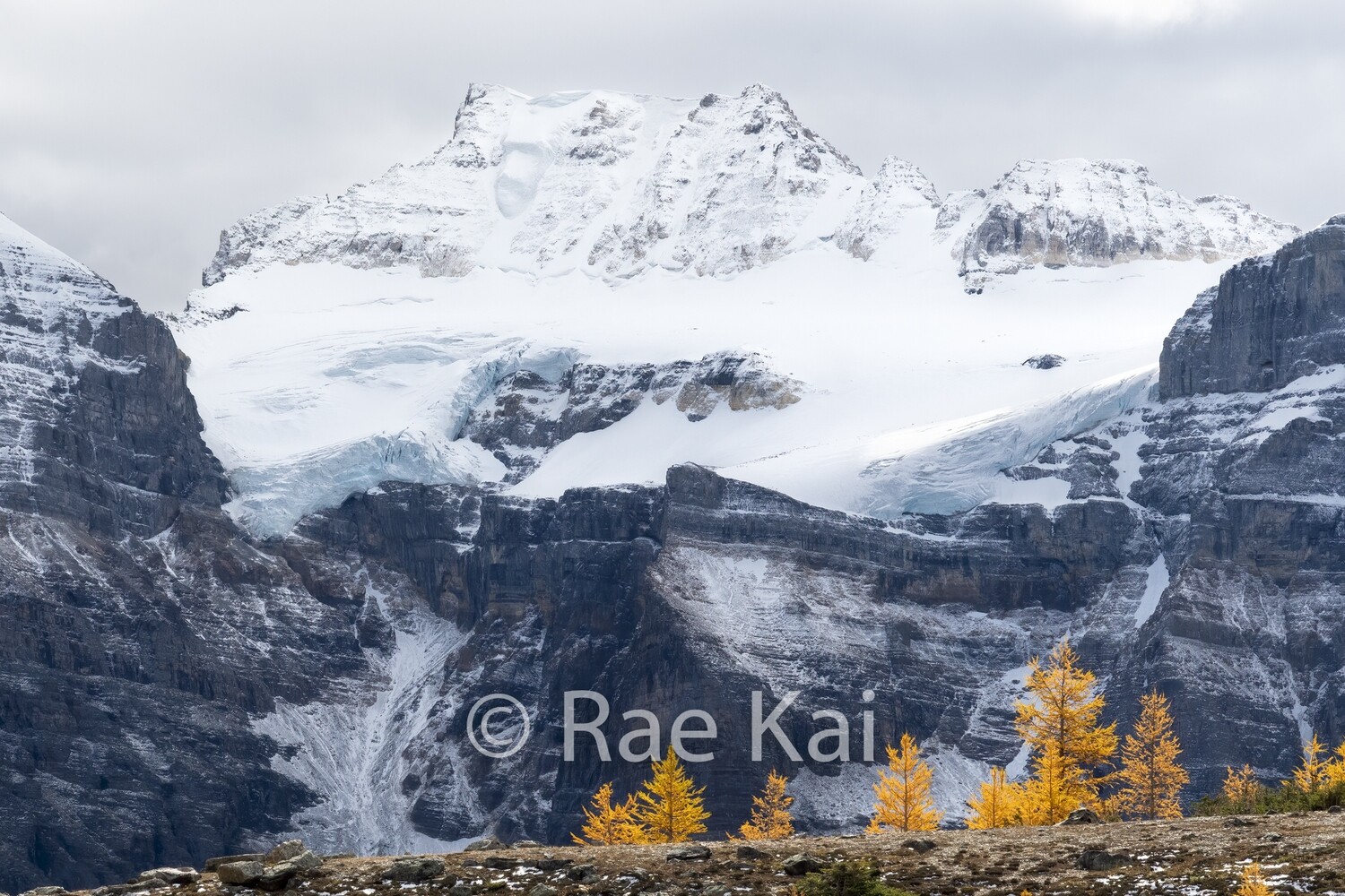 Autumn Larch Glacier-Traditional Photo