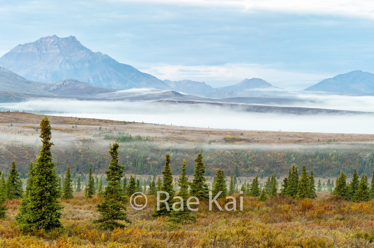 Foggy Expanse-Traditional Photo