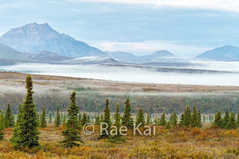 Foggy Expanse-Traditional Photo