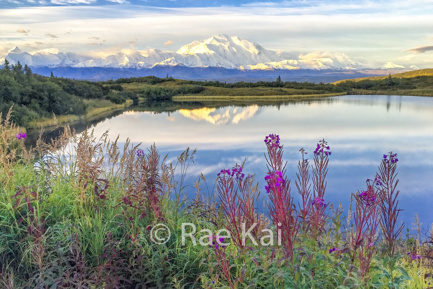 Reflection Pond-Traditional Photo