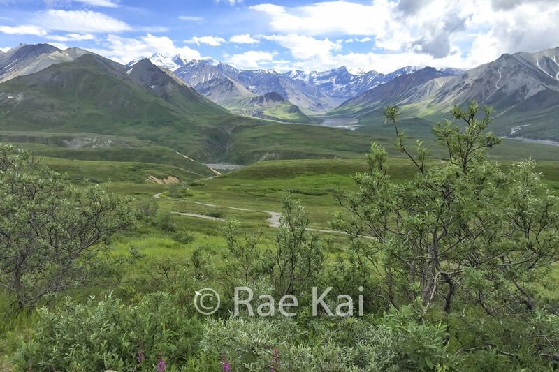 Green Tundra-Traditional Photo
