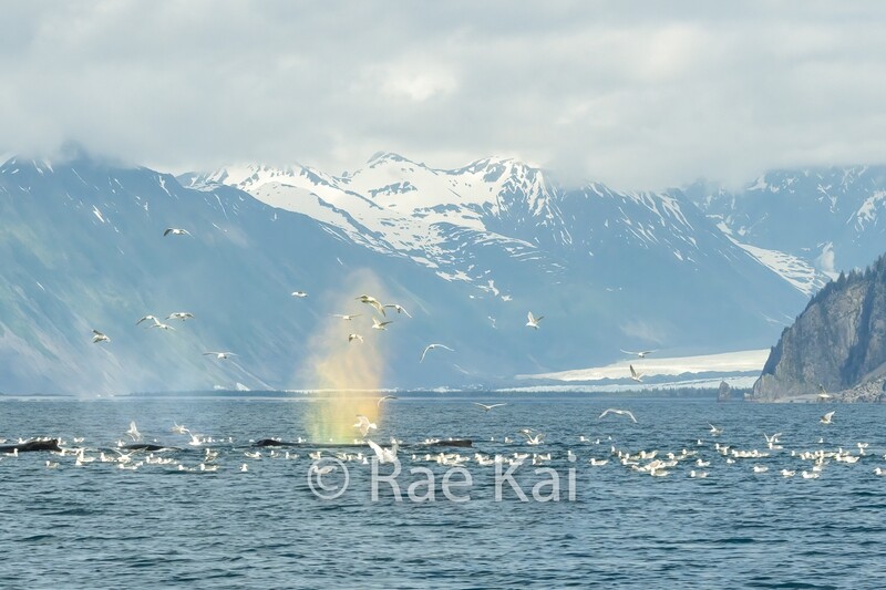 Rainbow Spout-Traditional Photo