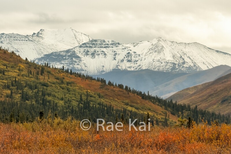 Autumn Color-Traditional Photo