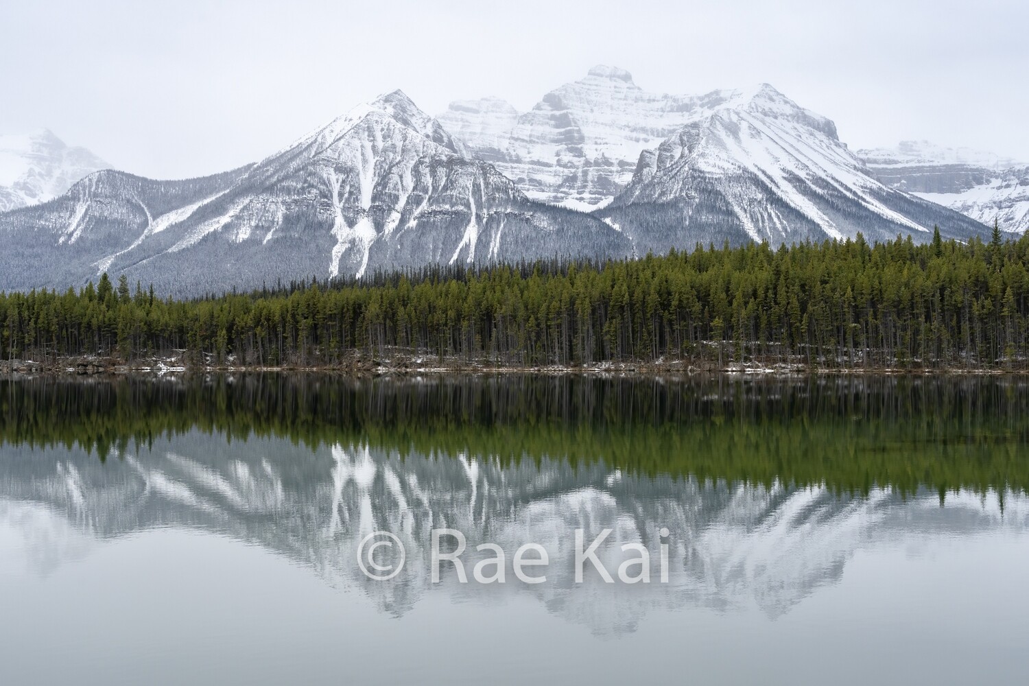 Herbert Lake-Traditional Photo