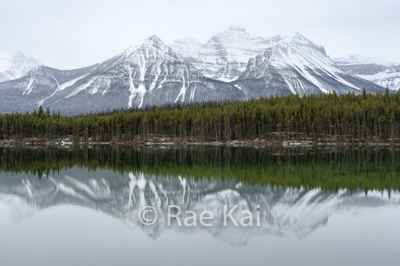 Herbert Lake-Traditional Photo
