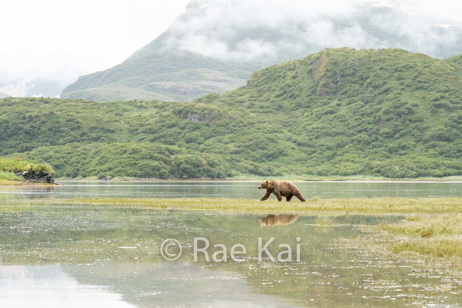 Peaceful Morning-Traditional Photo