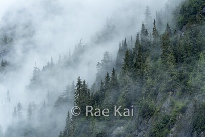 ALL LANDSCAPE PHOTOS