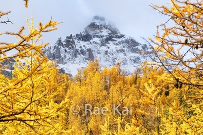 Fall Landscapes