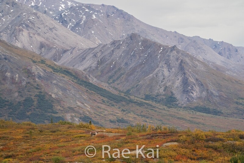 Wide Open Spaces-Traditional Photo