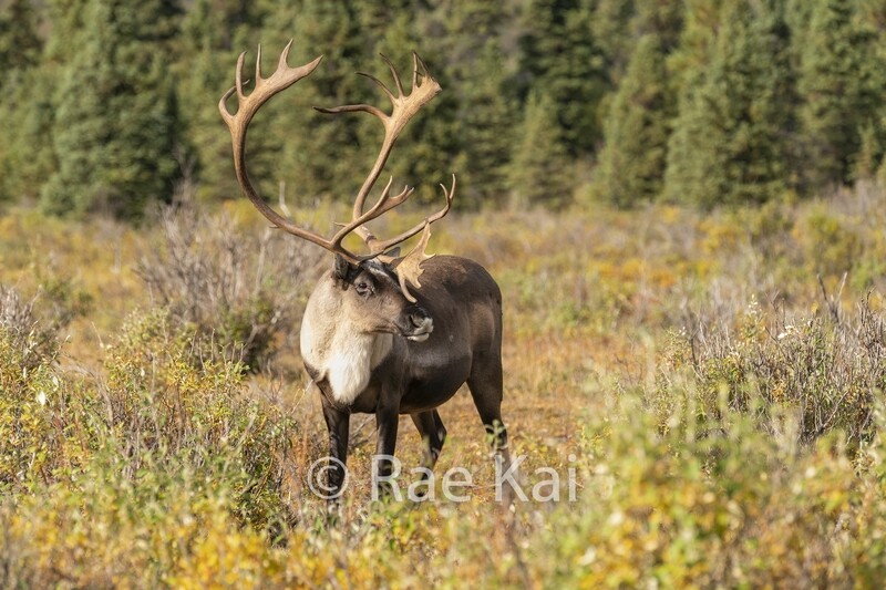 Early Fall Look-Traditional Photo