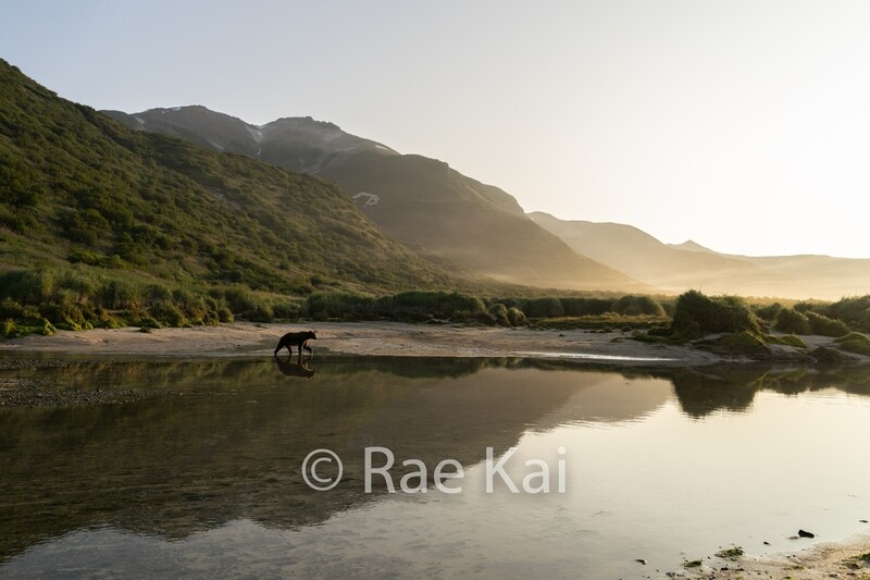 Majestic Morning-Traditional Photo