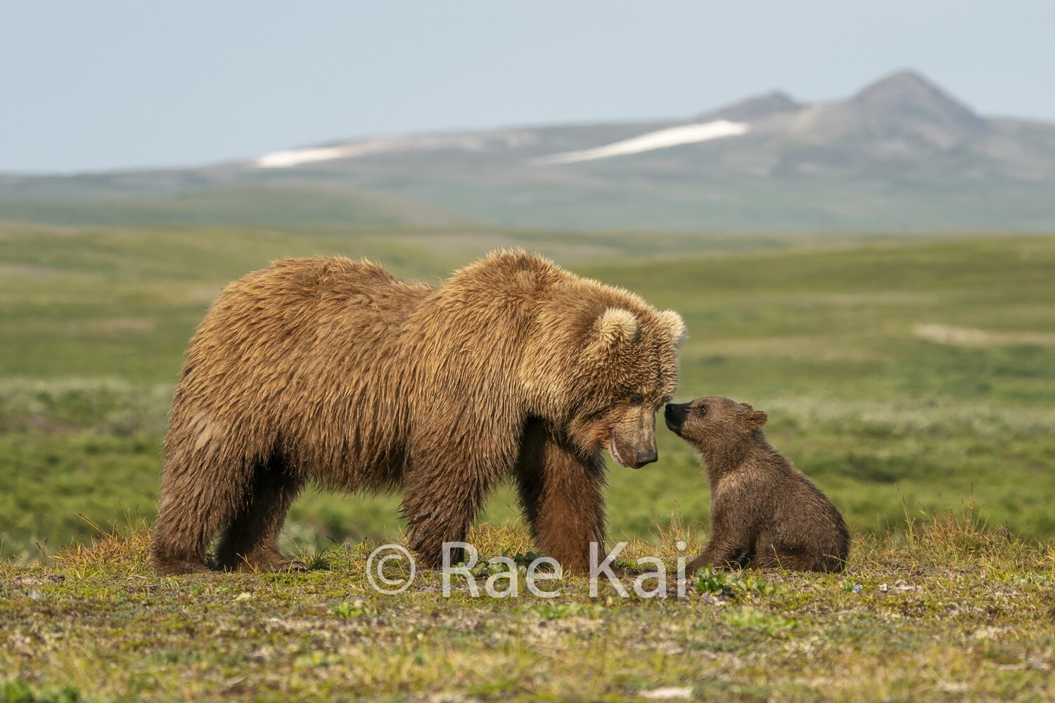 Tenderness-Traditional Photo