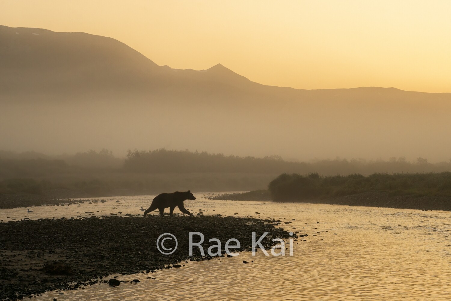 Sunrise Crossing-Traditional Photo