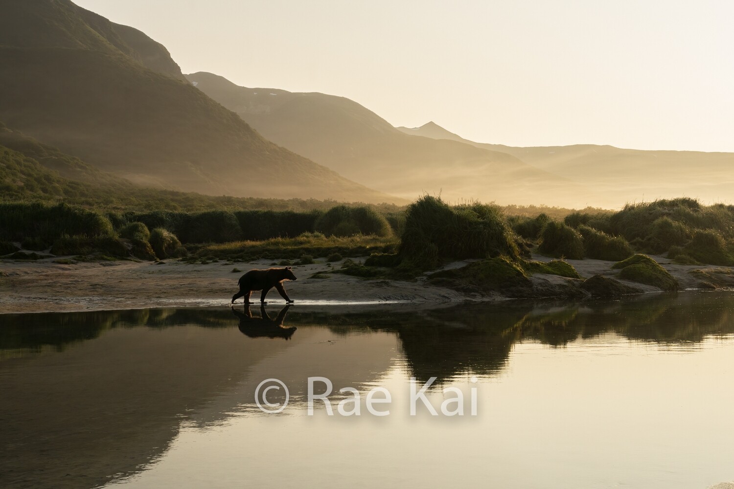 Sunrise Glow-Traditional Photo