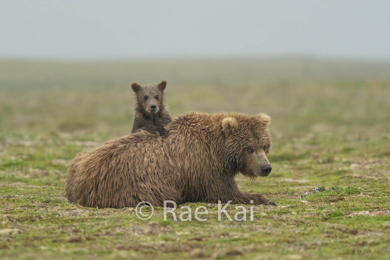 Peaking Over Mom-Traditional Photo