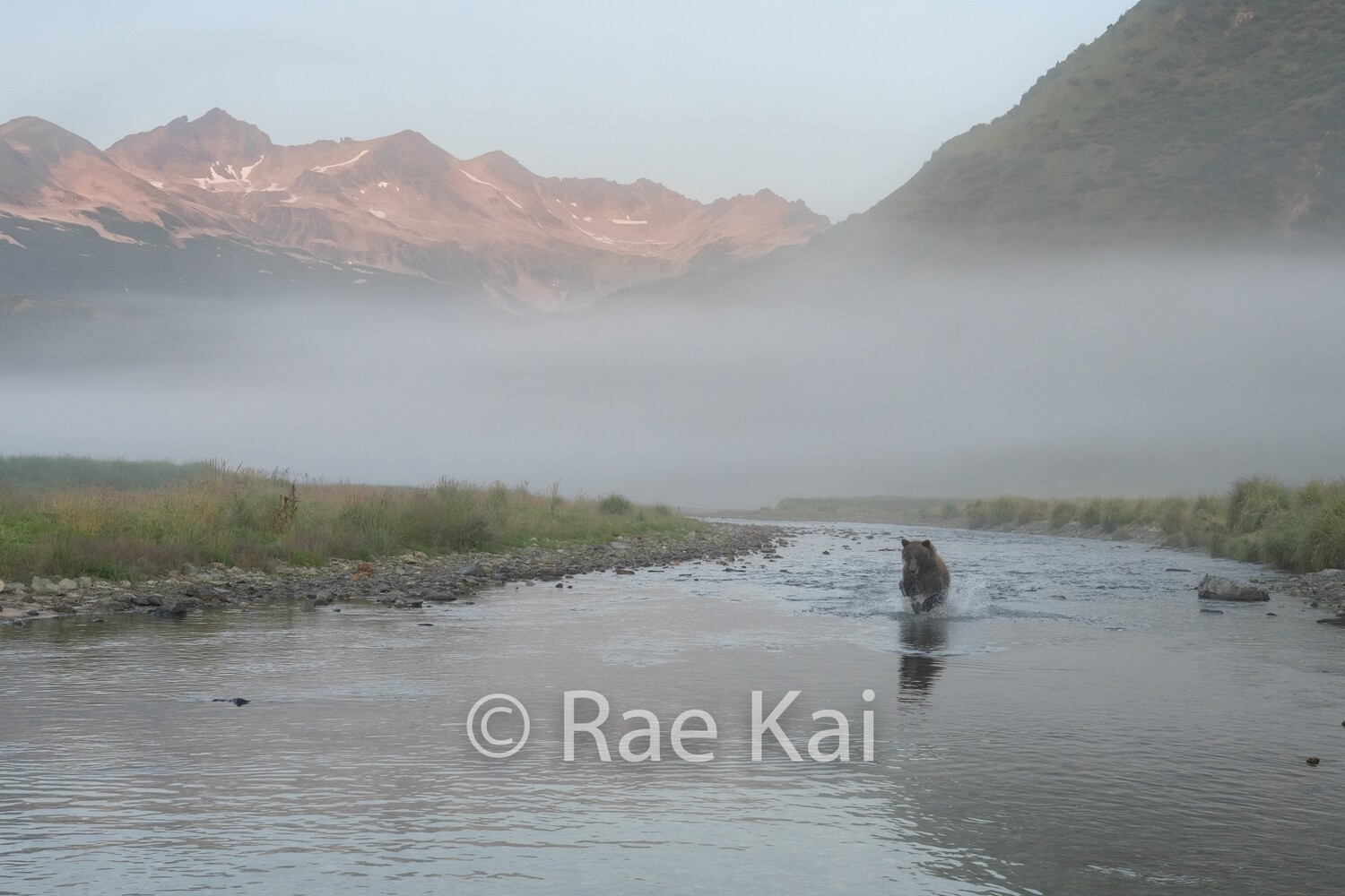 Foggy Chase-Traditional Photo