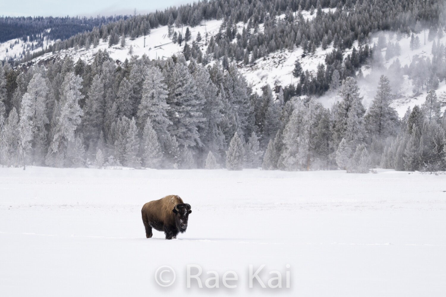 Winter Valley-Traditional Photo