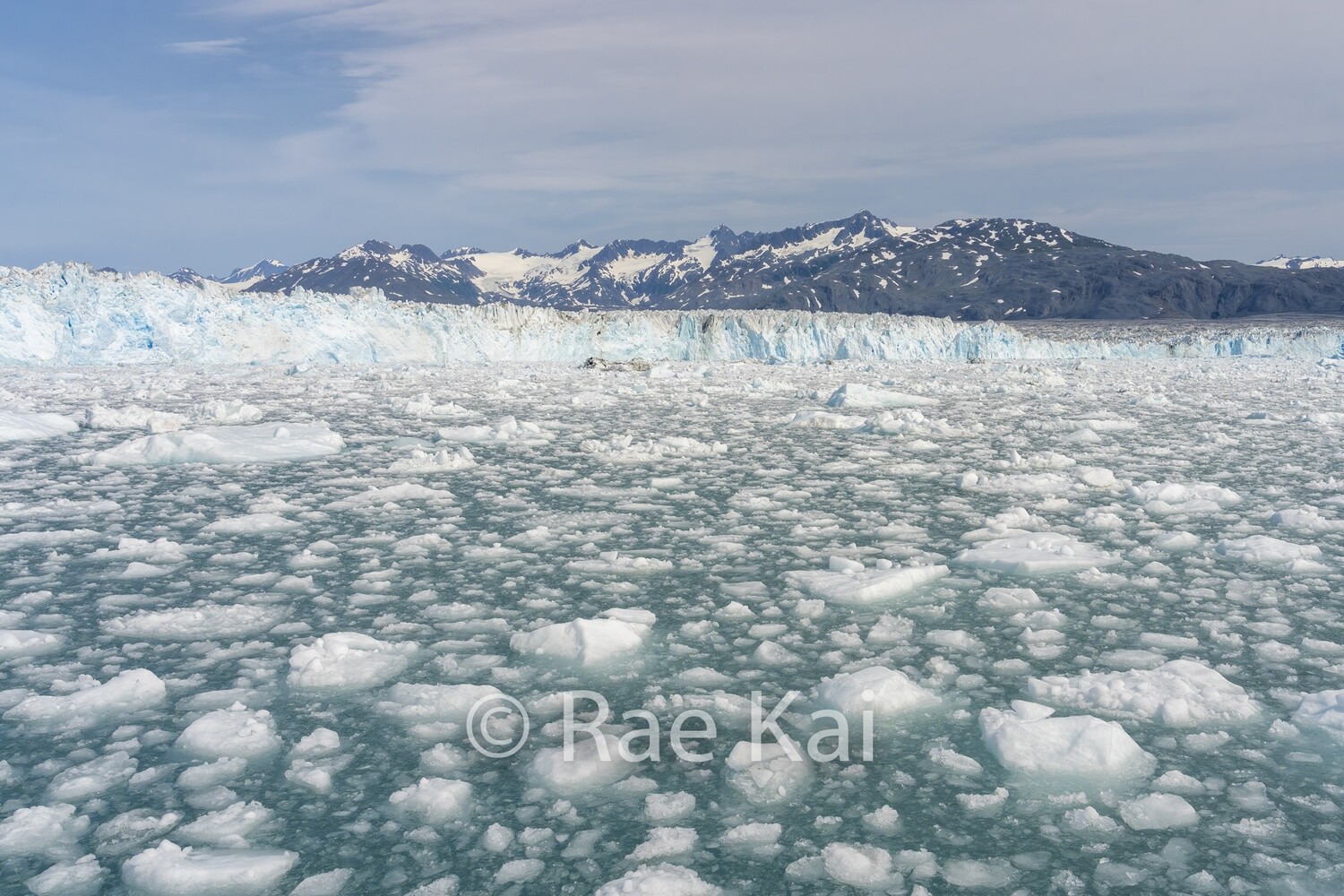 Melting Ice-Traditional Photo