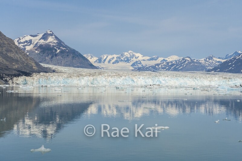 Columbia Glacier-Traditional Photo