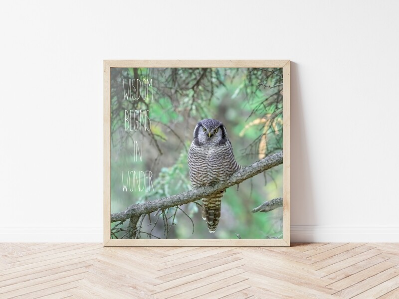 Wisdom Begins In Wonder-Inspirational Square Photo