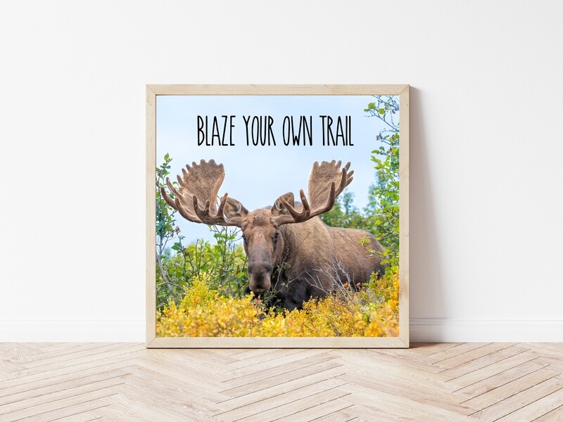 Blaze Your Own Trail-Inspirational Square Photo