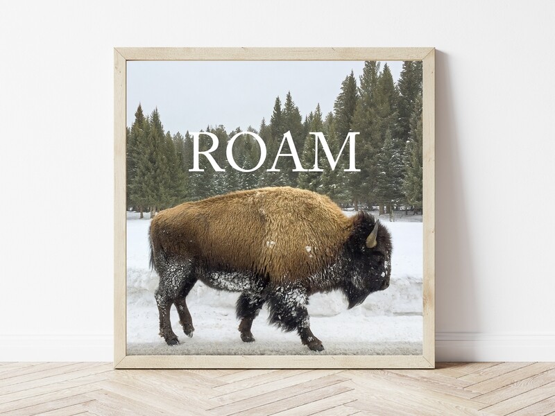 Roam-Inspirational Square Photo