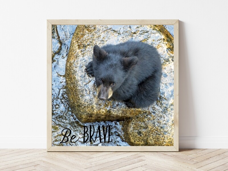 Be Brave (Cub on Rock)-Inspirational Square Photo
