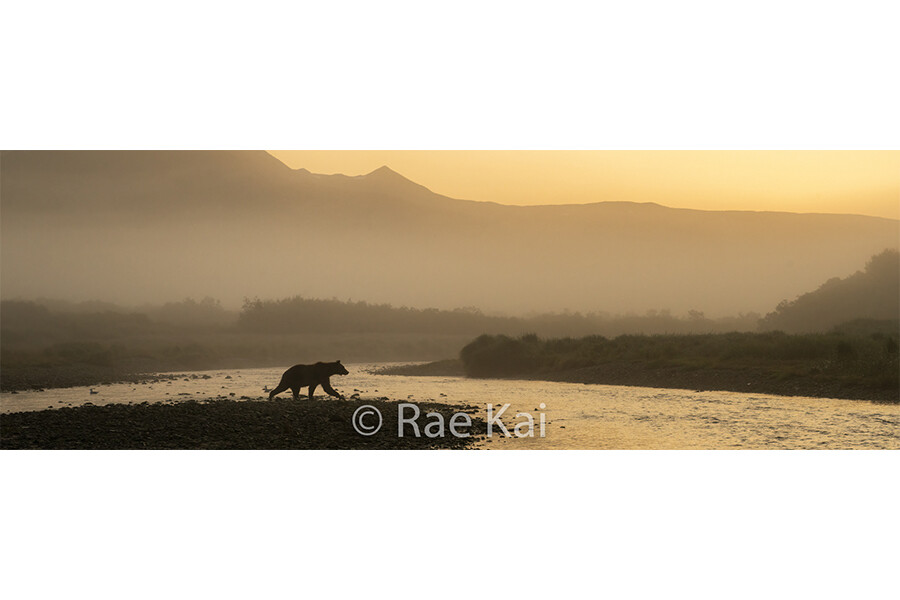 Sunrise Crossing Panoramic-Panoramic Traditional Photo