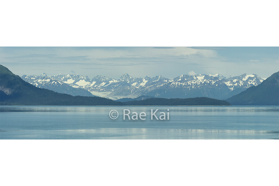 Glacier Bay Scene Panoramic-Panoramic Traditional Photo