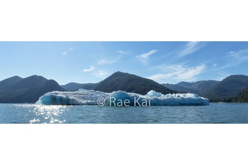 Massive Ice Shelf Panoramic-Panoramic Traditional Photo