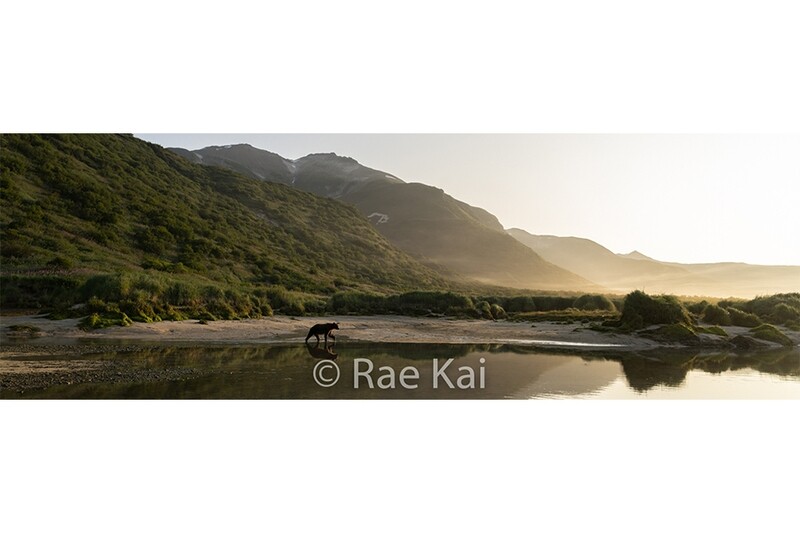 Majestic Morning Panoramic-Panoramic Traditional Photo