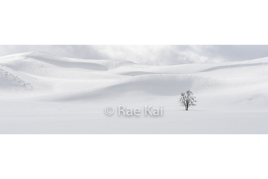 Winter&#39;s Stillness Panoramic-Panoramic Traditional Photo