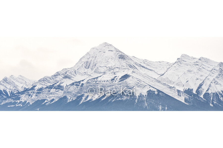 Alberta's Winter Panoramic-Panoramic Traditional Photo