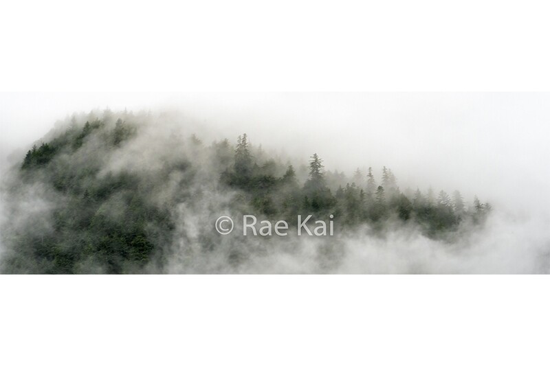 Treetop Clouds-Panoramic-Panoramic Traditional Photo