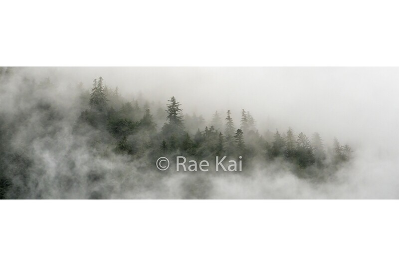Cloud Forest-Panoramic-Panoramic Traditional Photo