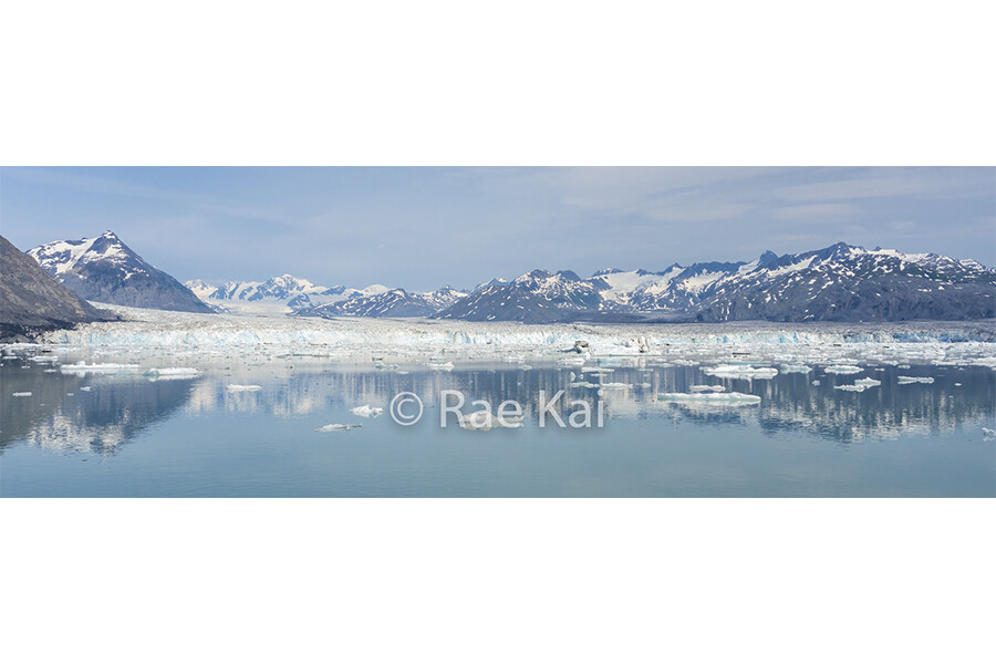 Columbia Glacier Panoramic-Panoramic Traditional Photo