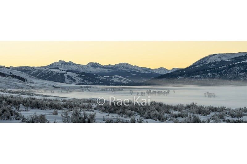 Foggy Valley Sunrise-Panoramic-Panoramic Traditional Photo