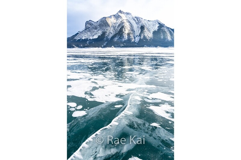 Ice Whale-Traditional Photo