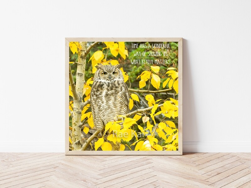 Time has a Wonderful Way-Inspirational Square Photo