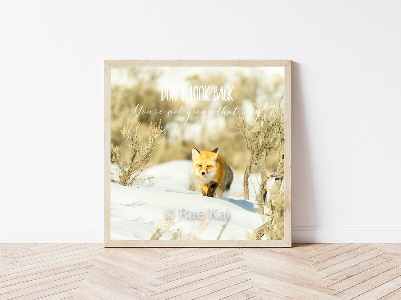 Don't Look Back-Inspirational Square Photo